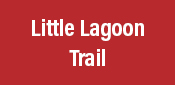 Little Lagoon Trail