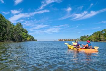 Kayaking Tour on the Intercostal Waterway with Wild Native Tours