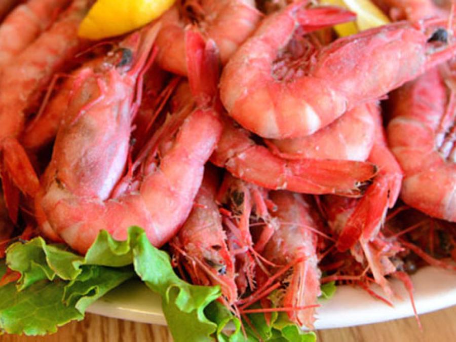 King Neptune's Shrimp