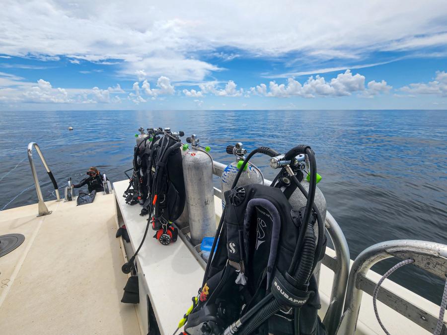 Diving in Gulf Shores
