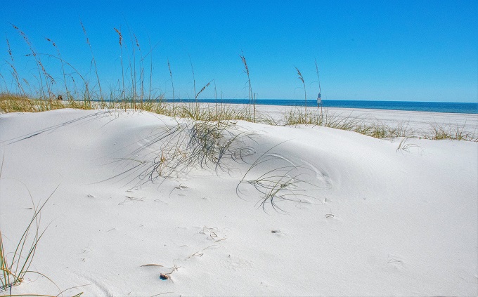 Read Previous Year's Alabama Beaches News