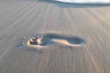 Leave Only Footprints