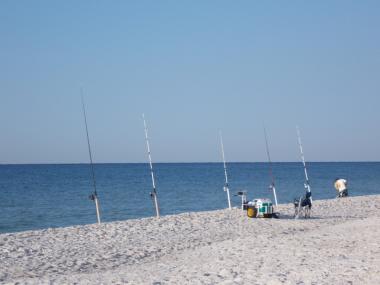 Surf Fishing Gear - TOP 6 THINGS You MUST HAVE While Surf Fishing! 