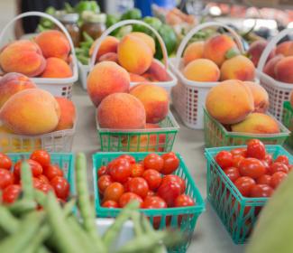 Burris Farms fresh produce Orange Beach AL