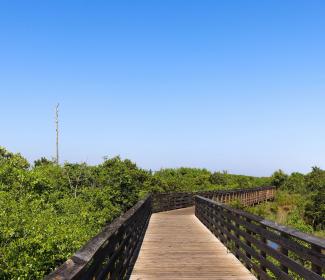 Hugh S. Branyon Backcountry Trail in Gulf Shores, AL