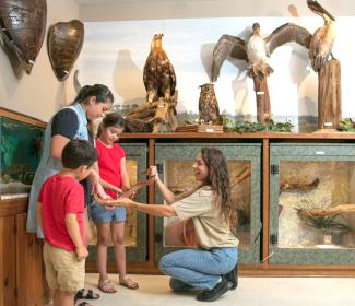 Gulf State Park Nature Center