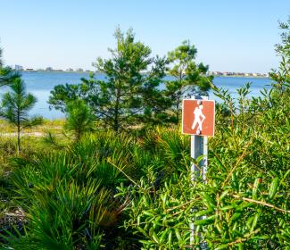 Bon Secour Wildlife Refuge