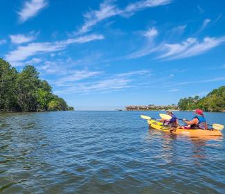 Kayaking Tour on the Intercostal Waterway with Wild Native Tours