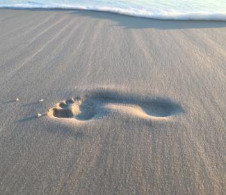 Leave Only Footprints