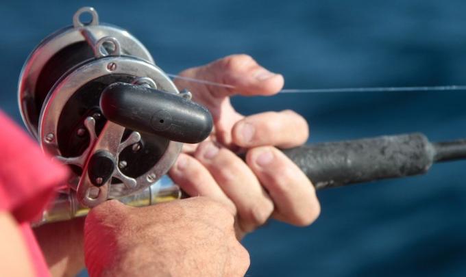 Hand holding a fishing rod on a charter in Orange Beach