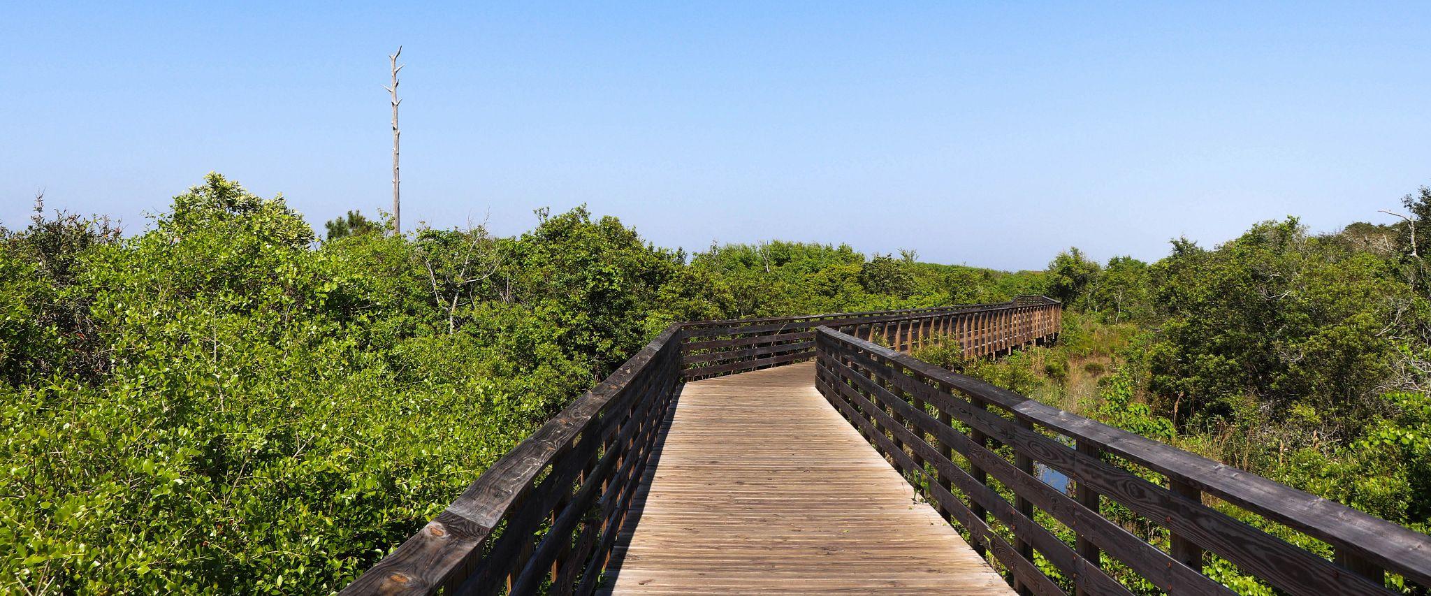 5 Wheelchair Accessible Things to Do | Gulf Shores ...