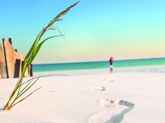 10 Things You May Not Know about Alabama's Beaches | Gulf Shores