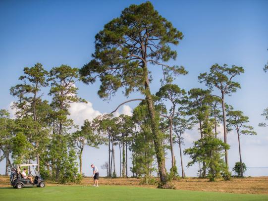 Peninsula Golf & Racquet Club, best golf course in Gulf Shores
