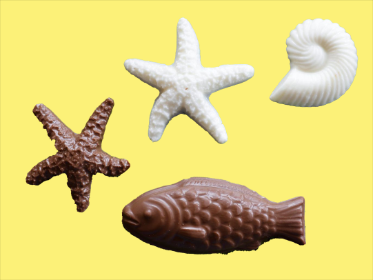 sea life shaped chocolate from The Chocolate Corner, best chocolate shop in Gulf Shores