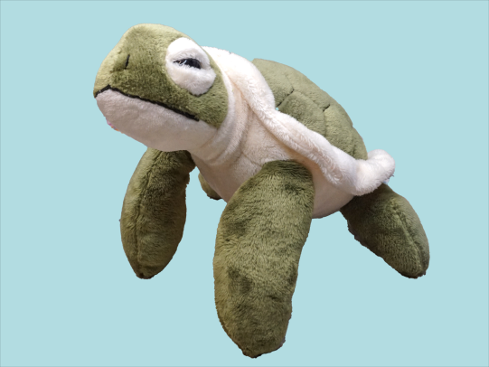 Cute sea turtle stuffed animal, beach souvenirs for kids in Gulf Shores