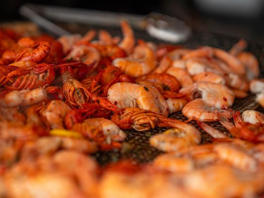 fresh shrimp and crawfish at Shrimp fest, free food festival in Gulf Shores