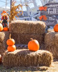 Pumpkins at The Wharf