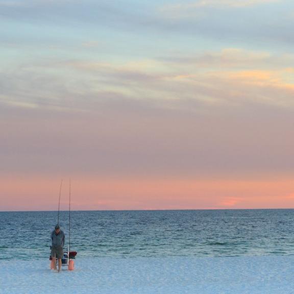 Alabama Surf Fishing  Everything You Need To Know 