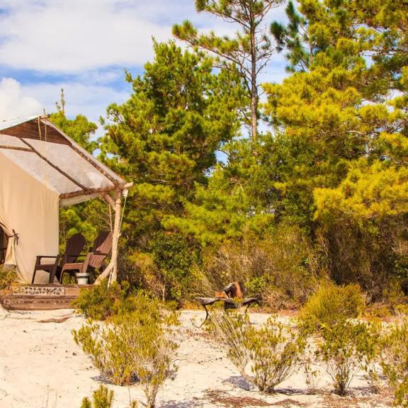 Primitive Campsites at Gulf State Park