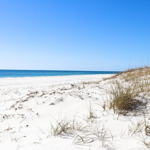 Gulf Shores and Orange Beach Alabama