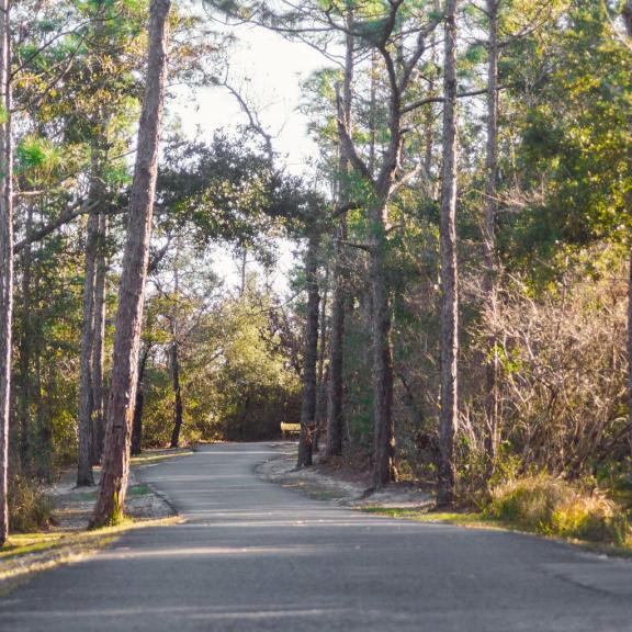 Gulf State Park