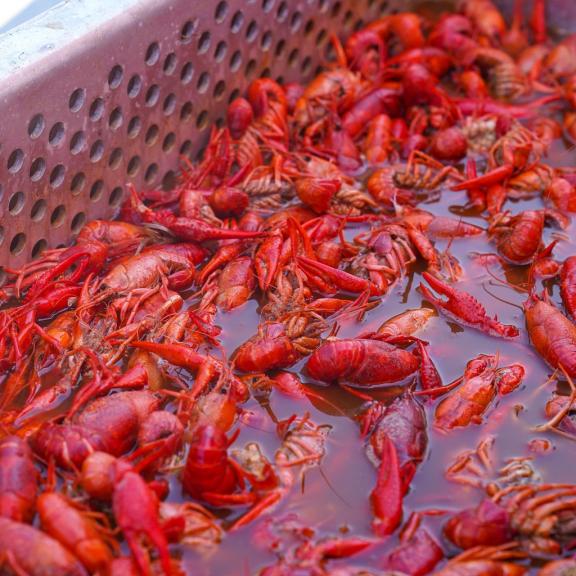 Crawfish at Waterway Village Zydeco & Crawfish Festival