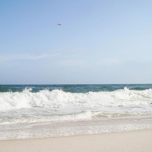 Cotton Bayou Orange Beach