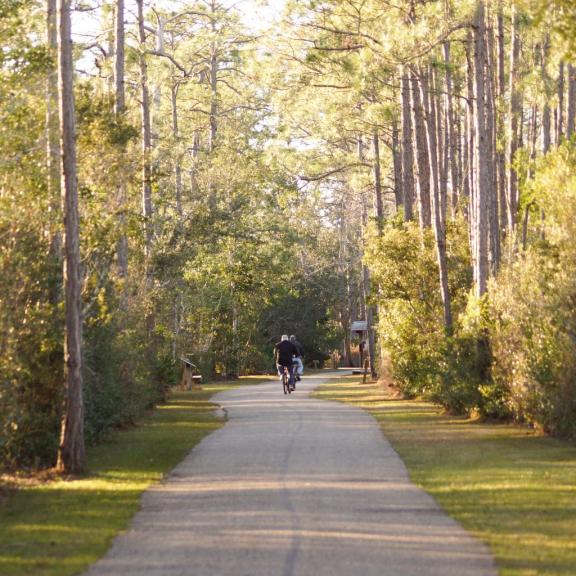 Gulf State Park Backcountry Trail