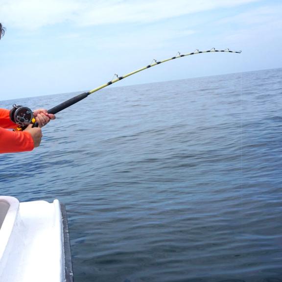 Offshore Fishing Orange Beach