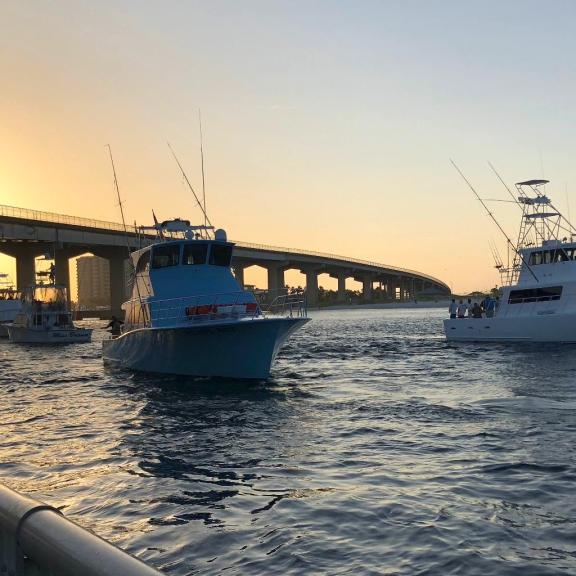 Charter Fishing Perdido Pass Orange Beach