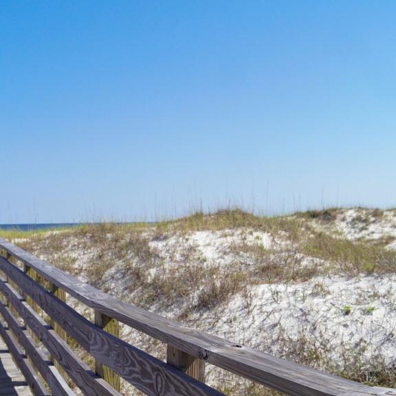 Orange Beach Sea Oats & Boardwalk