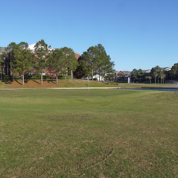 Golfer Playing One Club Golf Course in Gulf Shores