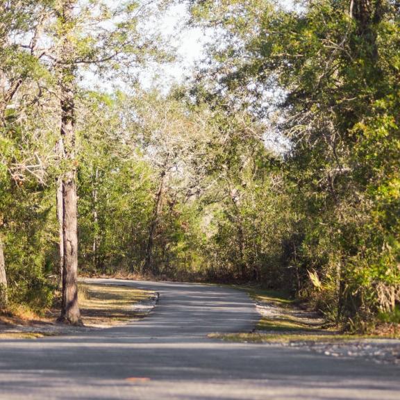 Gulf State Park trail