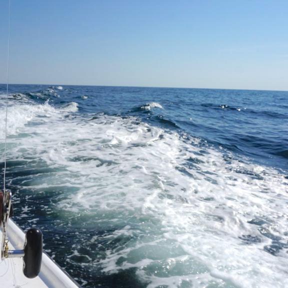 fishing charter boat offshore in Orange Beach