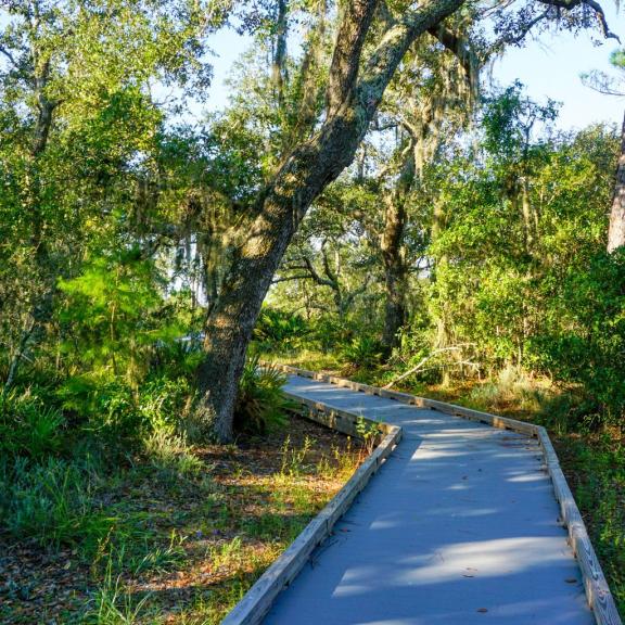 Bon Secour National Wildlife Refuge Jeff Friend Trail