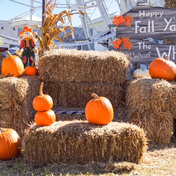 Fall decorations and signage at The Wharf