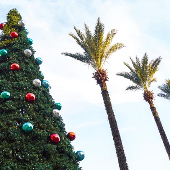 Christmas tree at The Wharf