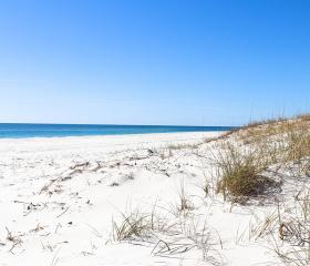 Top 20+ Hotels in Gulf Shores & Orange Beach