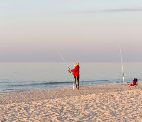 Saltwater Seduction - Alabama Saltwater Fishing Regulations