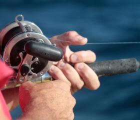 Hand holding a fishing rod on a charter in Orange Beach