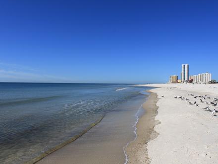 Two Ways to Explore Alabama's Beaches Like a Local | Gulf Shores