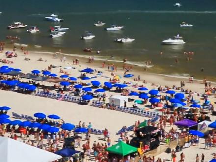 Throw a Few Fish at the 2020 Mullet Toss and Beach Party | Gulf Shores ...