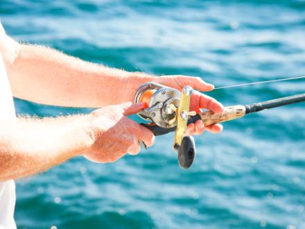 For the Love of Travel Rods – Tackle Tactics
