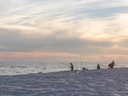 Understand how surf beaches work and catch more fish - SeaAngler