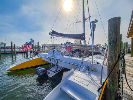 Sail Wild Hearts Dolphin Cruise Gulf Shores Orange Beach Alabama