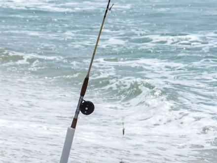 Best Fishing Spots in Gulf Shores & Orange Beach