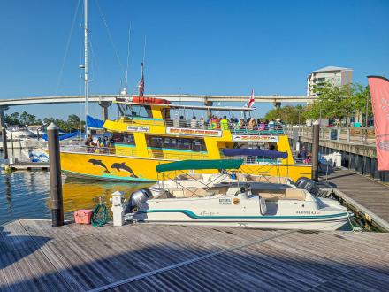 Sunny Lady May Orange Beach Dolphin Cruise