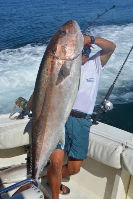 What's Biting Report: Amberjack Season is In | Gulf Shores & Orange Beach